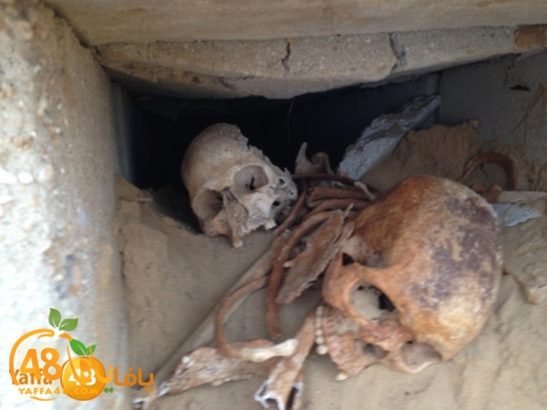 maqbara3adem510 (1).jpg.jpg.jpg